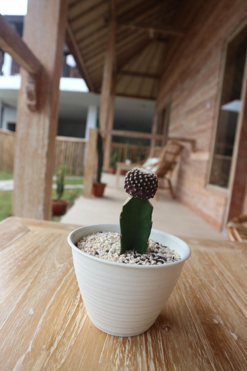 Lazy Inn Kuta  Luaran gambar